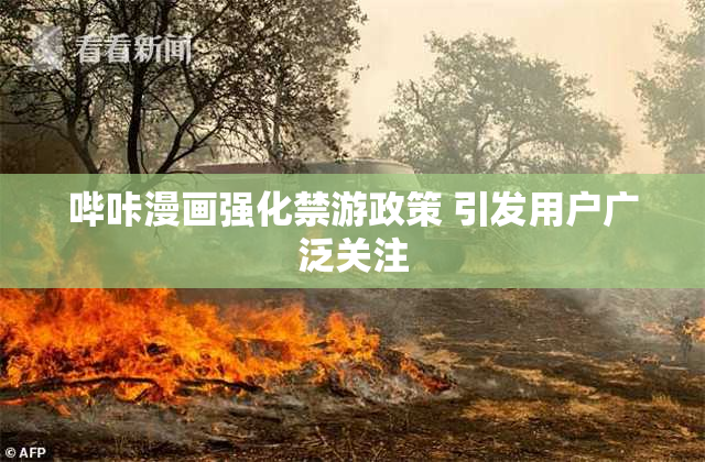 哔咔漫画强化禁游政策 引发用户广泛关注