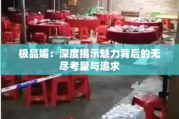 极品媚：深度揭示魅力背后的无尽考量与追求
