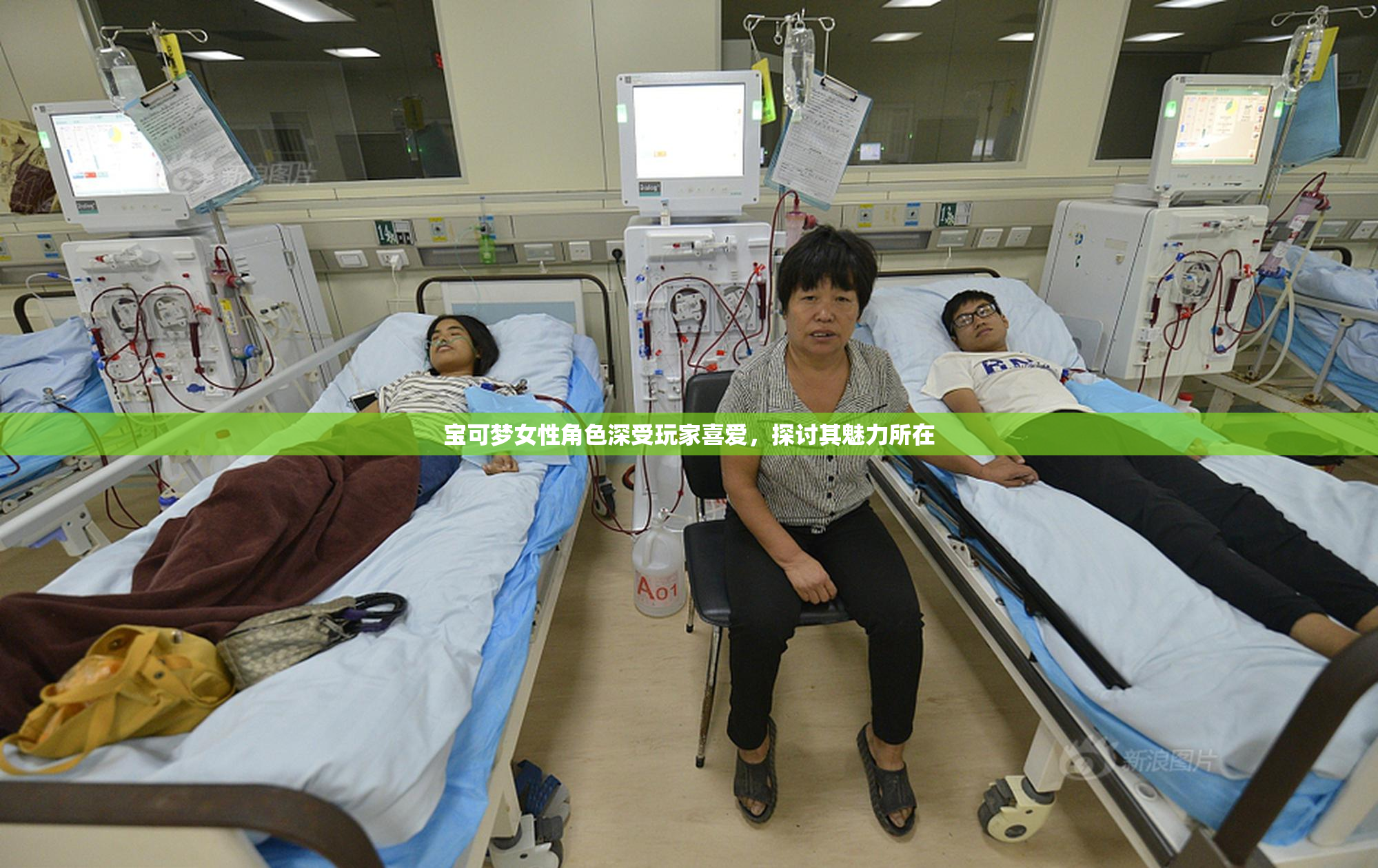 宝可梦女性角色深受玩家喜爱，探讨其魅力所在