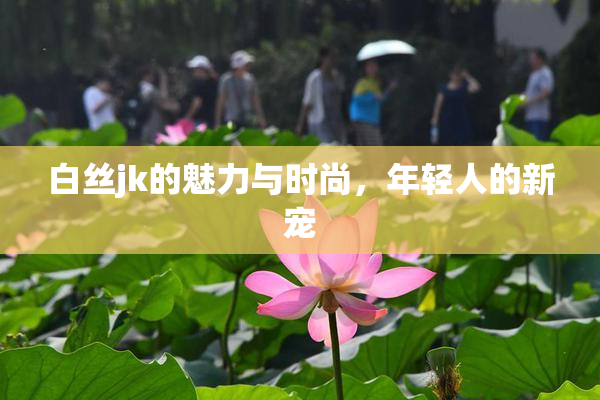 白丝jk的魅力与时尚，年轻人的新宠