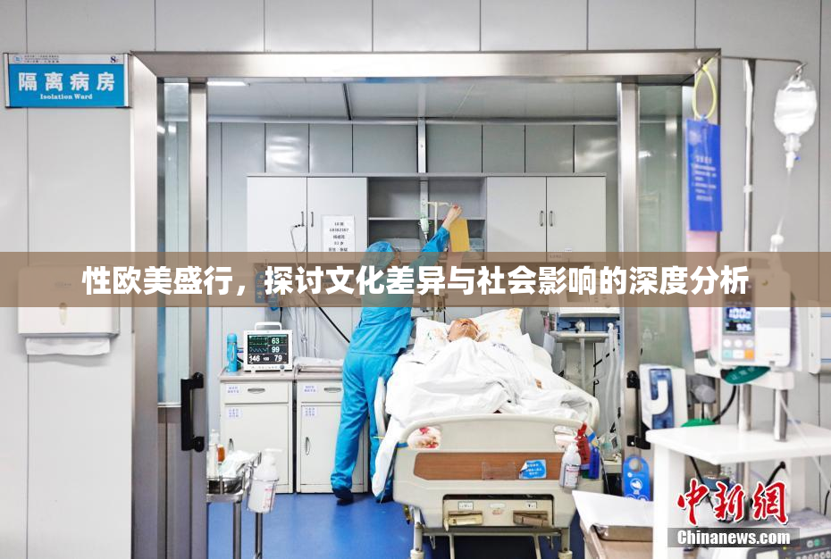性欧美盛行，探讨文化差异与社会影响的深度分析