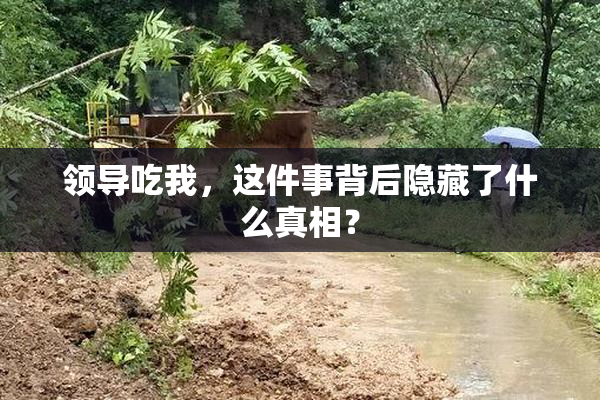 领导吃我，这件事背后隐藏了什么真相？