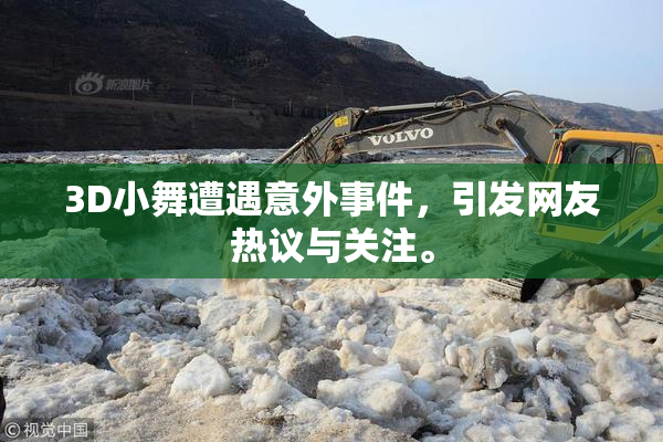 3D小舞遭遇意外事件，引发网友热议与关注。