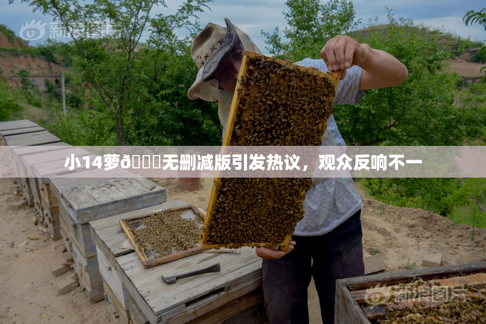 小14萝🔞无删减版引发热议，观众反响不一