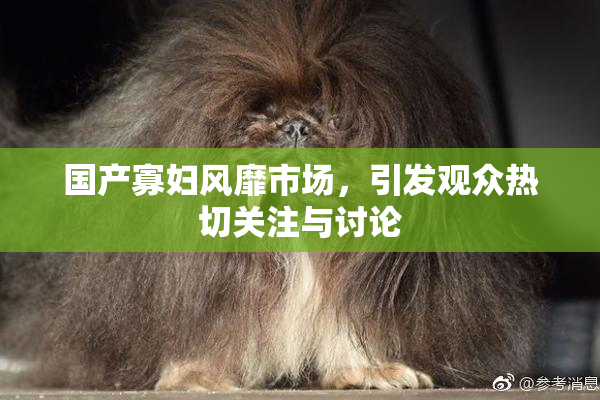 国产寡妇风靡市场，引发观众热切关注与讨论
