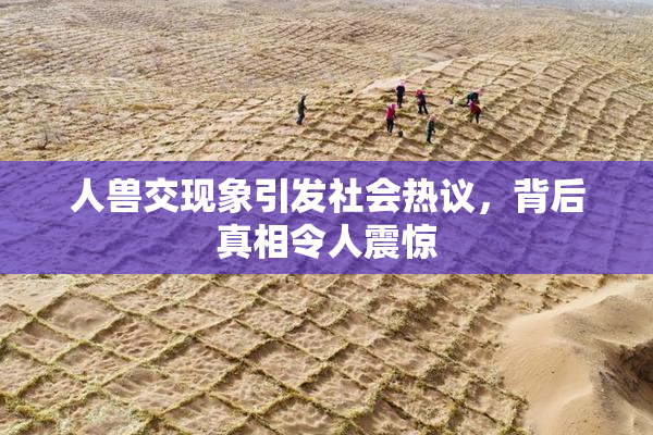 人兽交现象引发社会热议，背后真相令人震惊