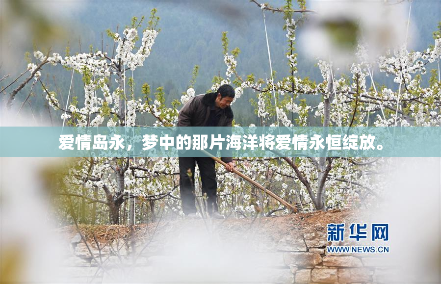 爱情岛永，梦中的那片海洋将爱情永恒绽放。