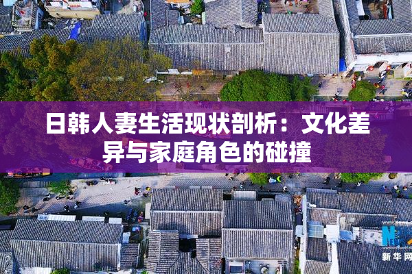 日韩人妻生活现状剖析：文化差异与家庭角色的碰撞