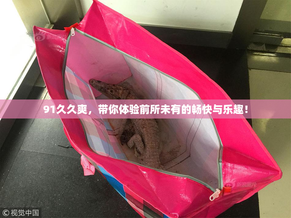 91久久爽，带你体验前所未有的畅快与乐趣！