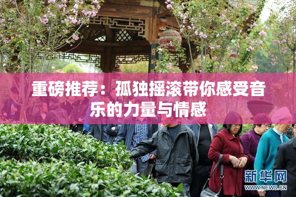 重磅推荐：孤独摇滚带你感受音乐的力量与情感