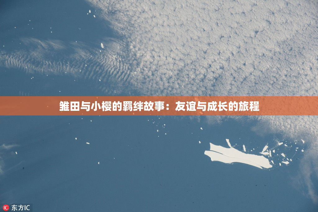 雏田与小樱的羁绊故事：友谊与成长的旅程