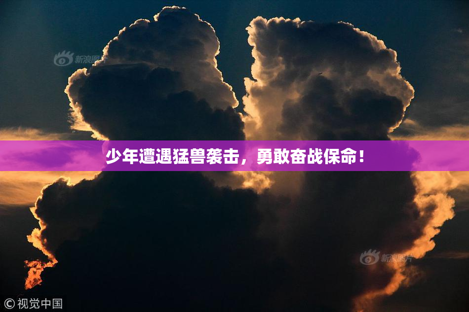 少年遭遇猛兽袭击，勇敢奋战保命！
