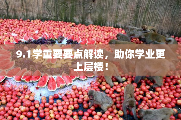 9.1学重要要点解读，助你学业更上层楼！
