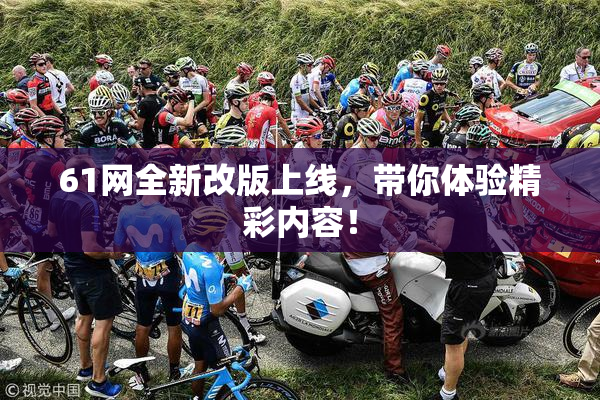 61网全新改版上线，带你体验精彩内容！