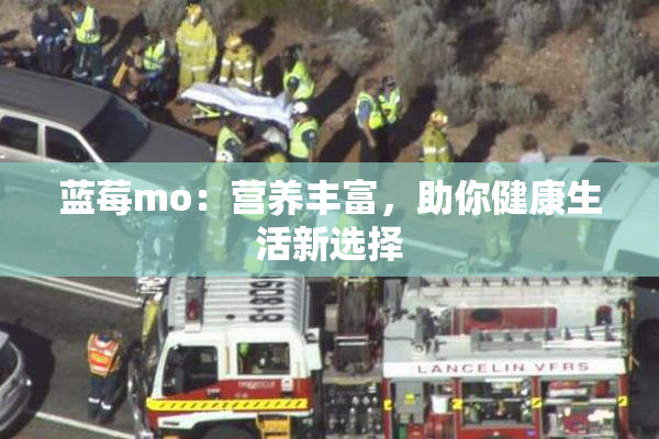 蓝莓mo：营养丰富，助你健康生活新选择