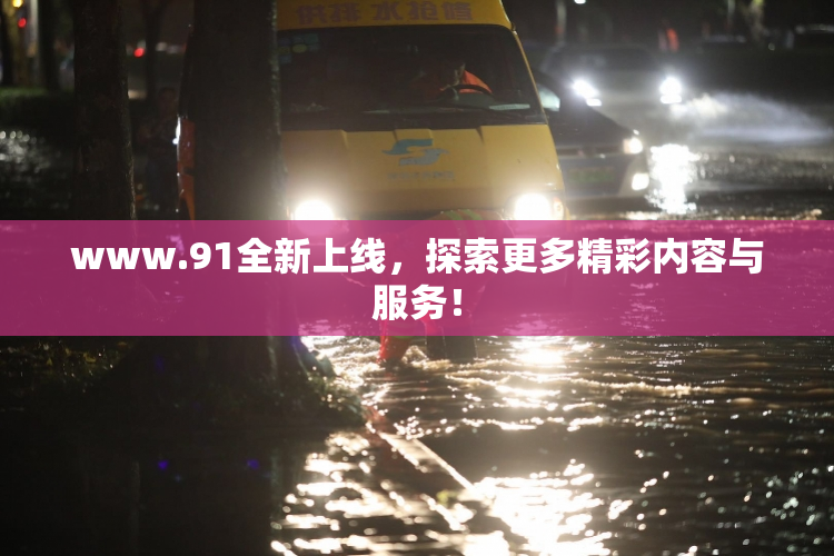 www.91全新上线，探索更多精彩内容与服务！