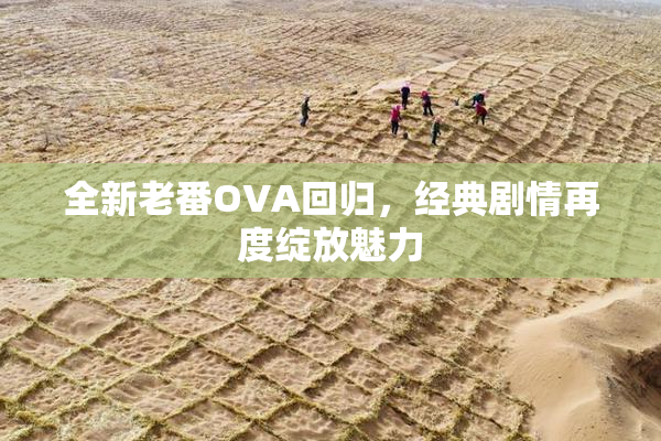 全新老番OVA回归，经典剧情再度绽放魅力