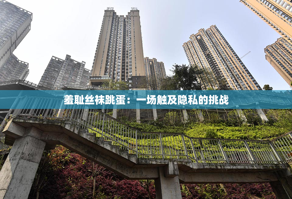 羞耻丝袜跳蛋：一场触及隐私的挑战