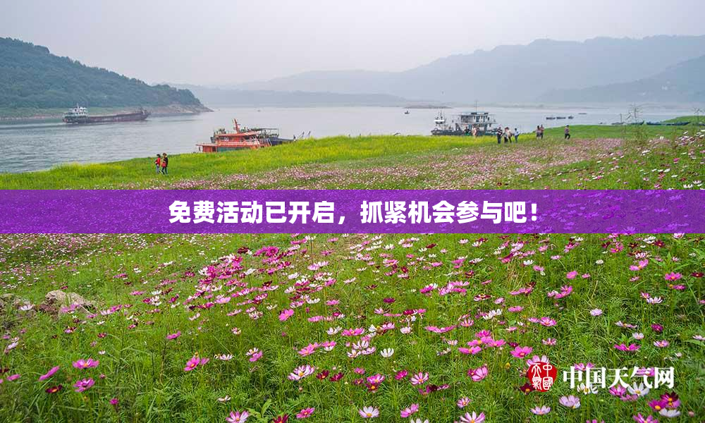 免费活动已开启，抓紧机会参与吧！