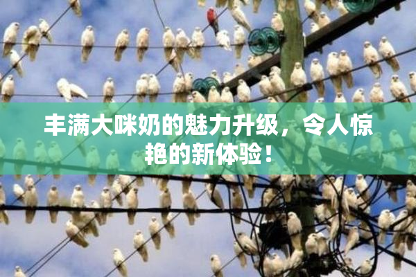 丰满大咪奶的魅力升级，令人惊艳的新体验！