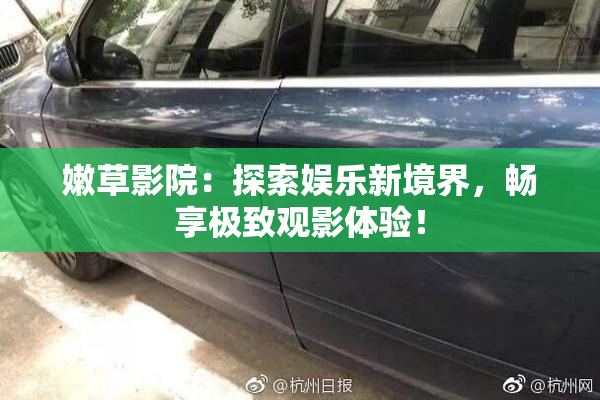嫩草影院：探索娱乐新境界，畅享极致观影体验！