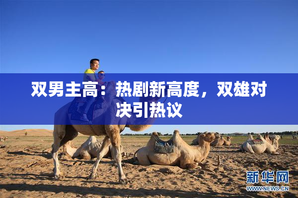 双男主高：热剧新高度，双雄对决引热议