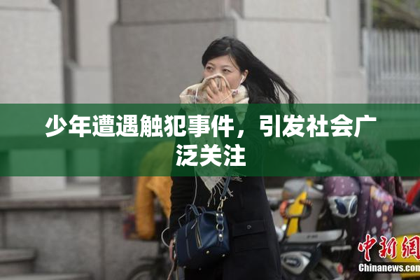 少年遭遇触犯事件，引发社会广泛关注