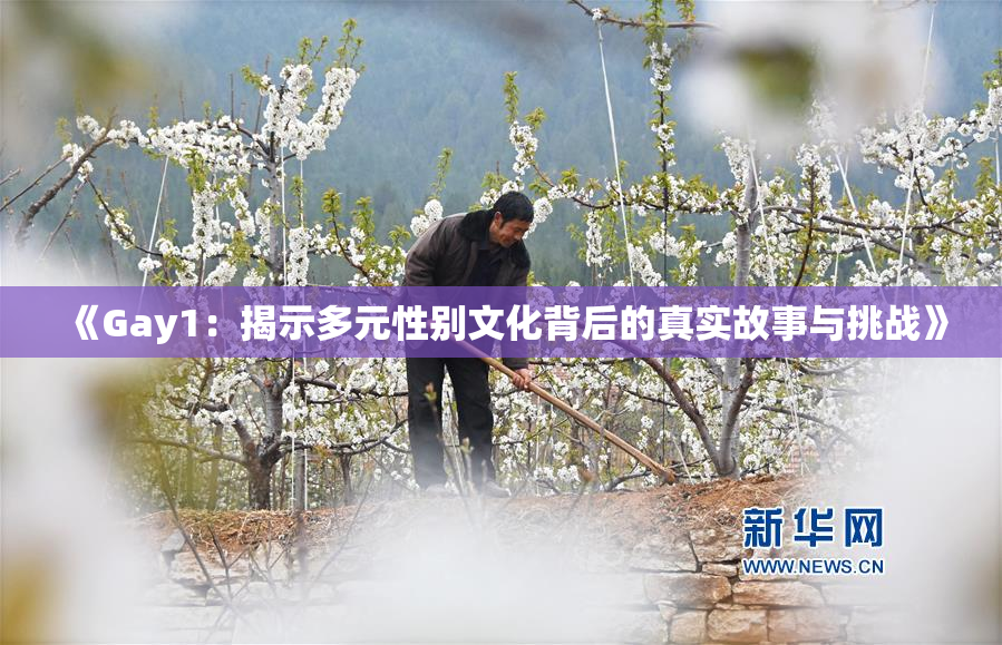 《Gay1：揭示多元性别文化背后的真实故事与挑战》