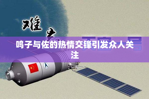 鸣子与佐的热情交锋引发众人关注