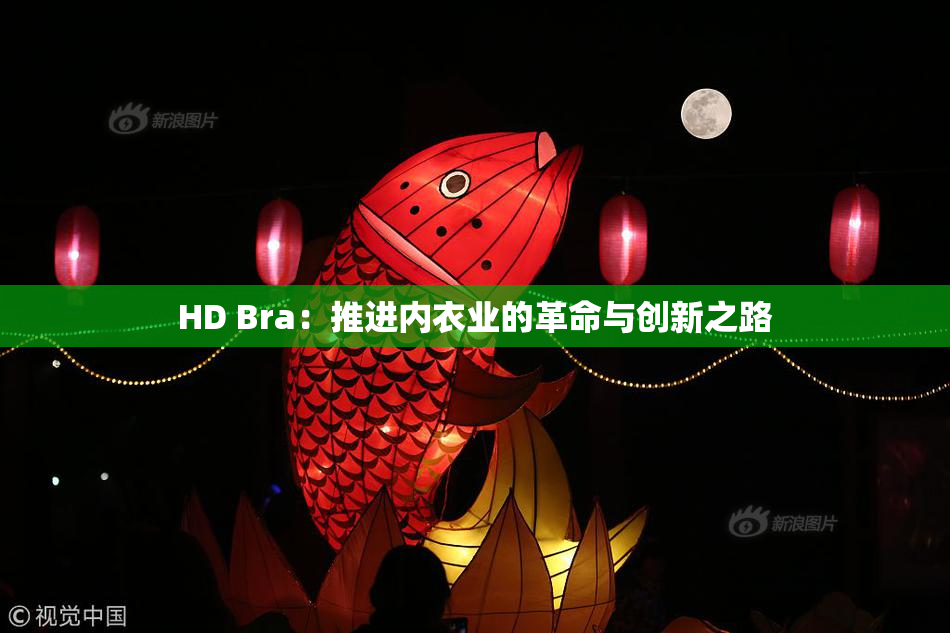 HD Bra：推进内衣业的革命与创新之路