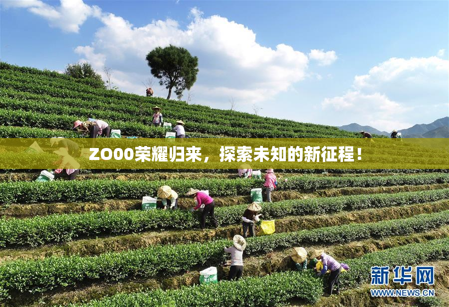 ZO00荣耀归来，探索未知的新征程！