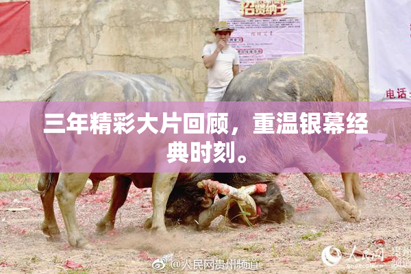 三年精彩大片回顾，重温银幕经典时刻。