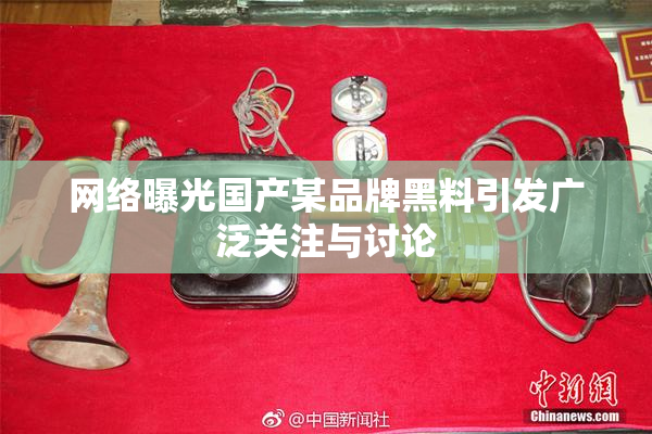 网络曝光国产某品牌黑料引发广泛关注与讨论