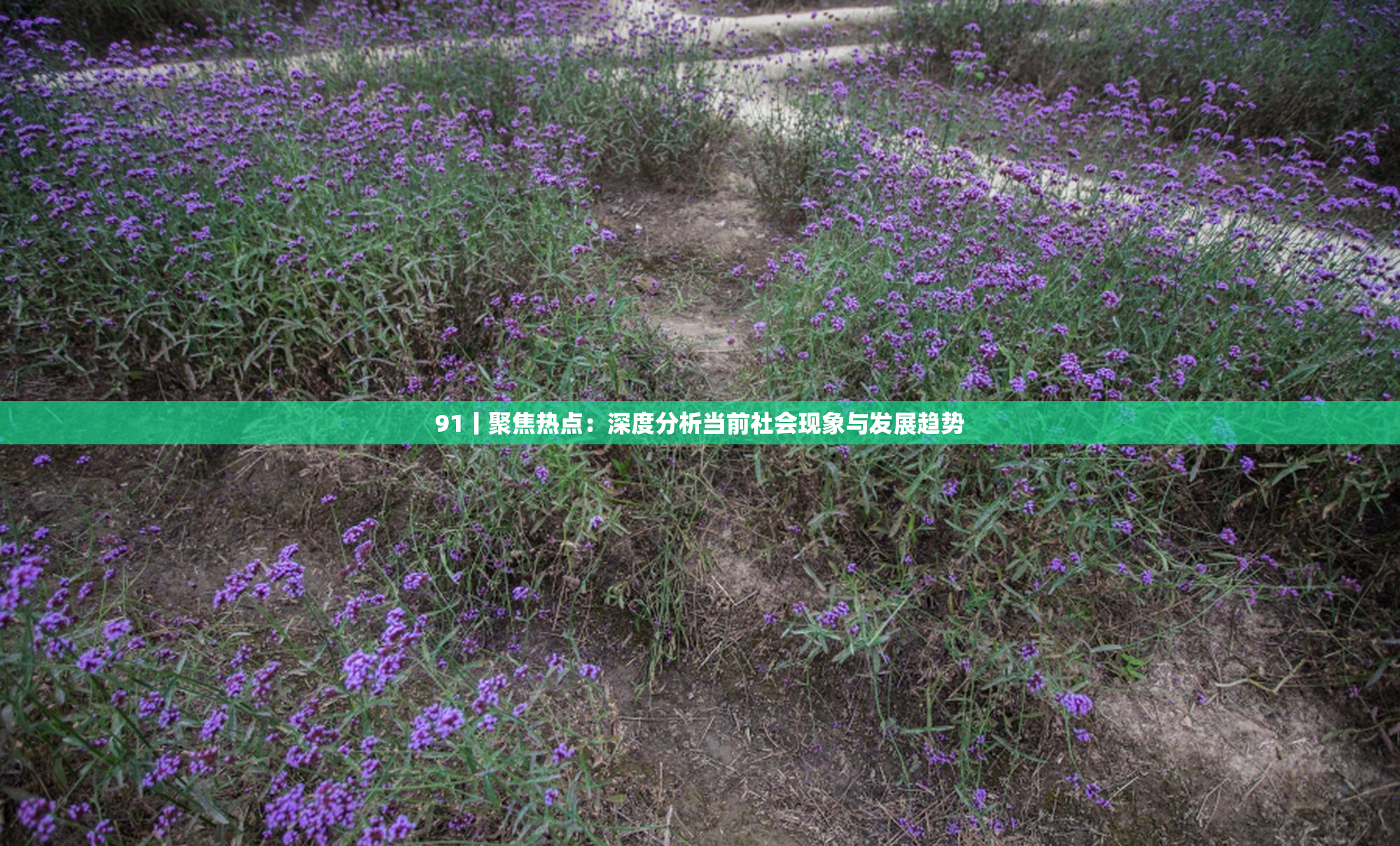 91丨聚焦热点：深度分析当前社会现象与发展趋势