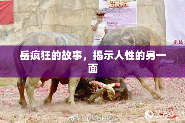 岳疯狂的故事，揭示人性的另一面