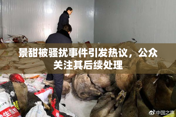 景甜被骚扰事件引发热议，公众关注其后续处理