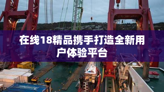 在线18精品携手打造全新用户体验平台