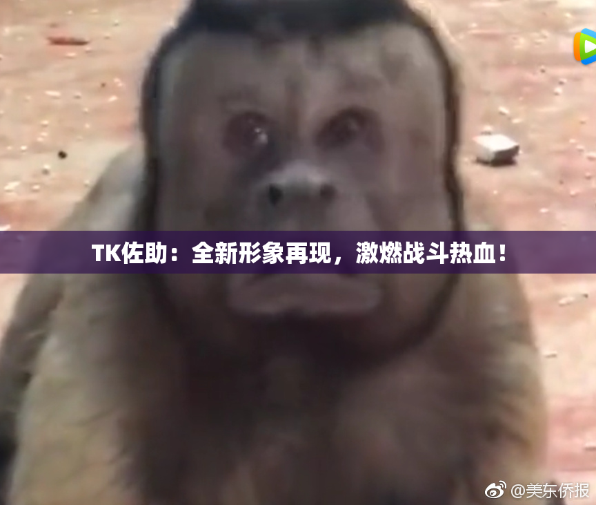 TK佐助：全新形象再现，激燃战斗热血！