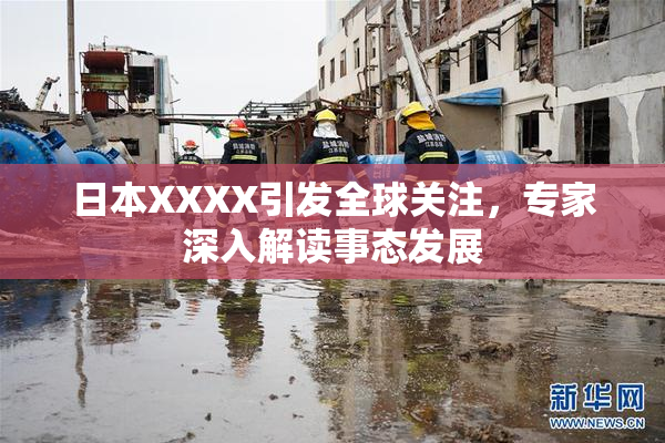 日本XXXX引发全球关注，专家深入解读事态发展