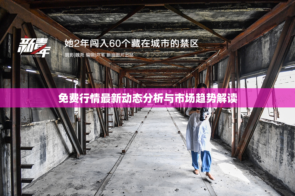 免费行情最新动态分析与市场趋势解读