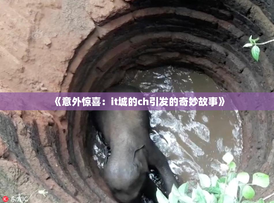 《意外惊喜：it城的ch引发的奇妙故事》
