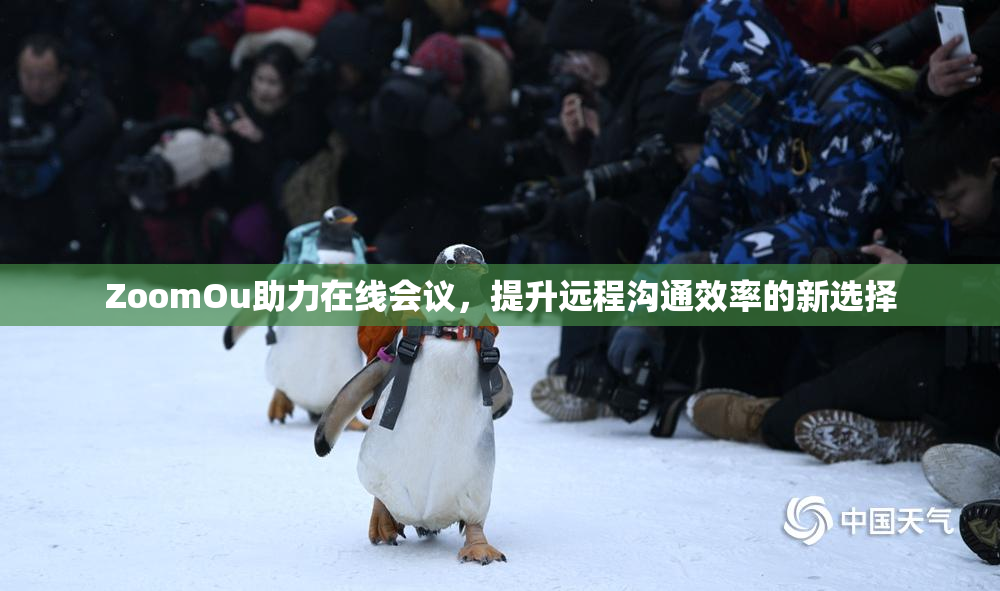 ZoomOu助力在线会议，提升远程沟通效率的新选择