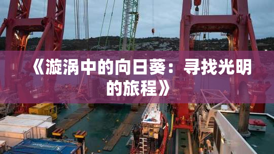 《漩涡中的向日葵：寻找光明的旅程》