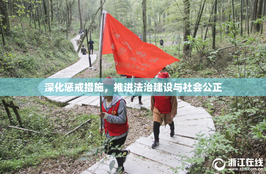 深化惩戒措施，推进法治建设与社会公正