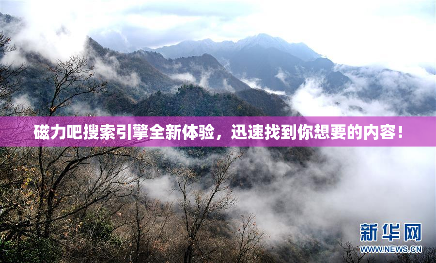 磁力吧搜索引擎全新体验，迅速找到你想要的内容！