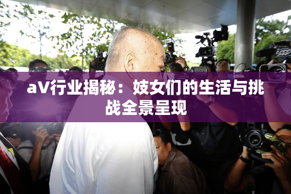 aV行业揭秘：妓女们的生活与挑战全景呈现