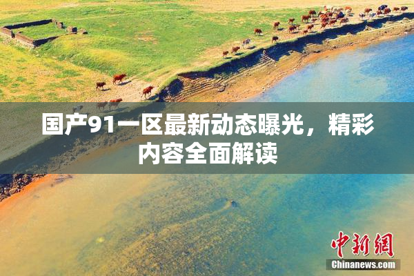 国产91一区最新动态曝光，精彩内容全面解读