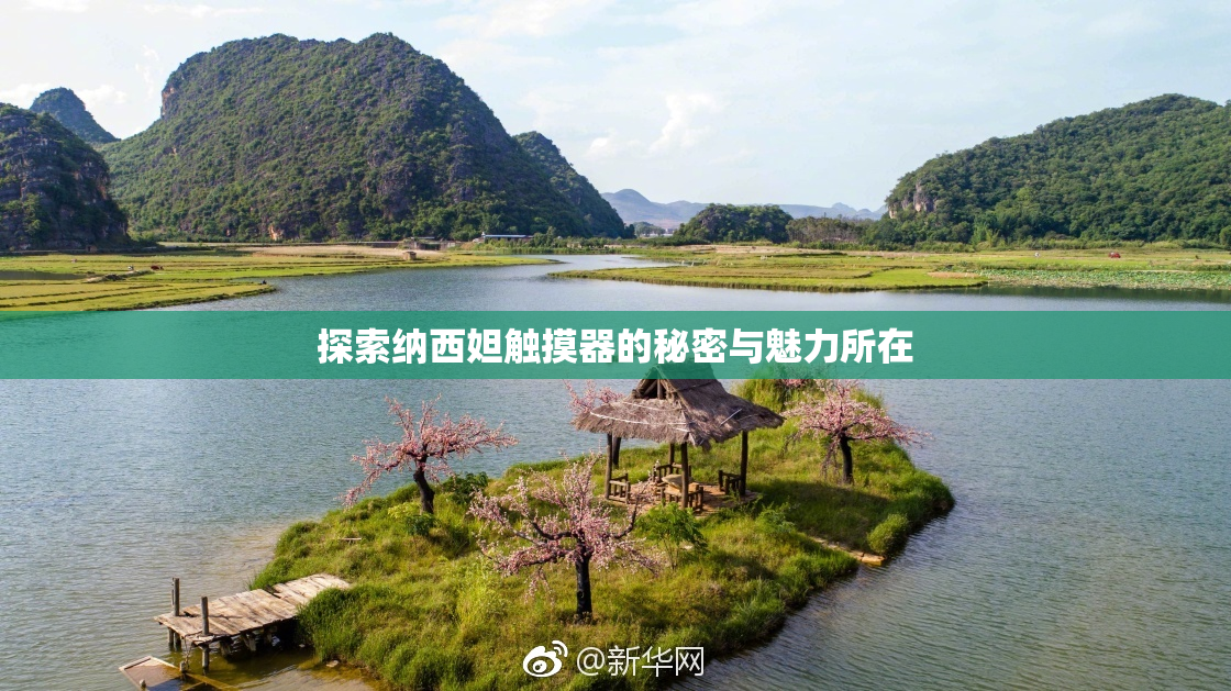 探索纳西妲触摸器的秘密与魅力所在