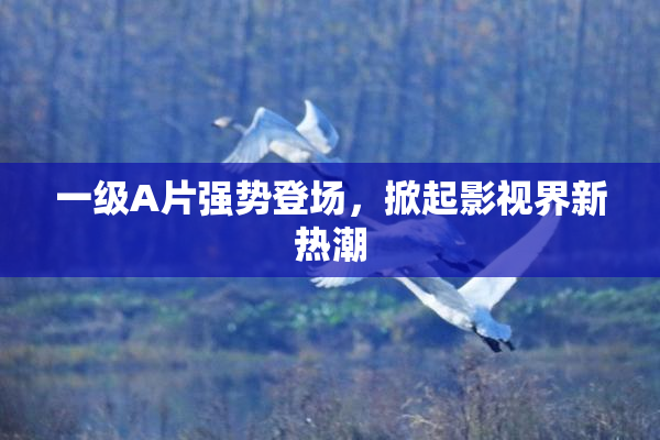 一级A片强势登场，掀起影视界新热潮