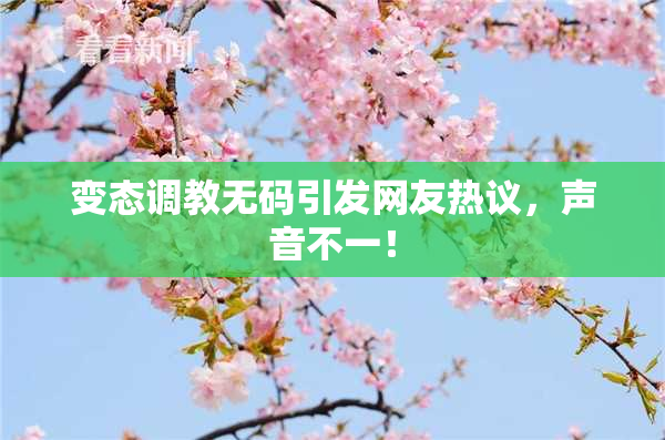 变态调教无码引发网友热议，声音不一！